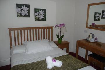 Фото номера Двухместный номер с 1 кроватью Гостевой дом Killarney Guest House г. Корк 5