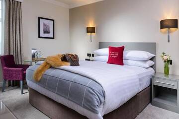 Фото номера Двухместный номер с 1 кроватью Отель The Metropole Hotel Cork г. Корк 11